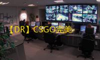 【DR】CSGO完美-辅助