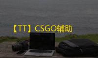 【TT】CSGO辅助