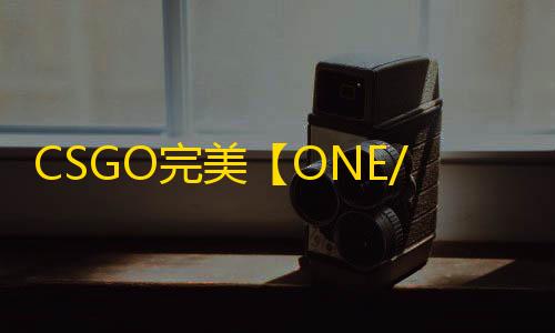 CSGO完美【ONE/透视/自瞄/仅支持完美/过玄武磐石】辅助
