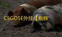 CSGO5E外挂【蜘蛛/单版透视/仅支持5E/过玄武磐石】辅助