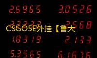 CSGO5E外挂【鲁大师/透视/自瞄/仅支持5E/过玄武磐石】辅助